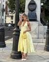 Niamh - Elegant Embroidered Deep V Sleeveless Dress